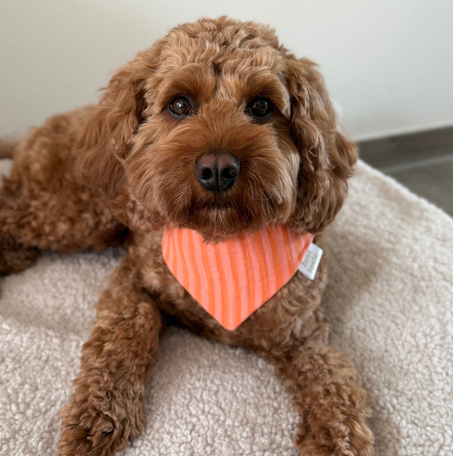 Musselin Halstuch - Stripes Orange/Rosa