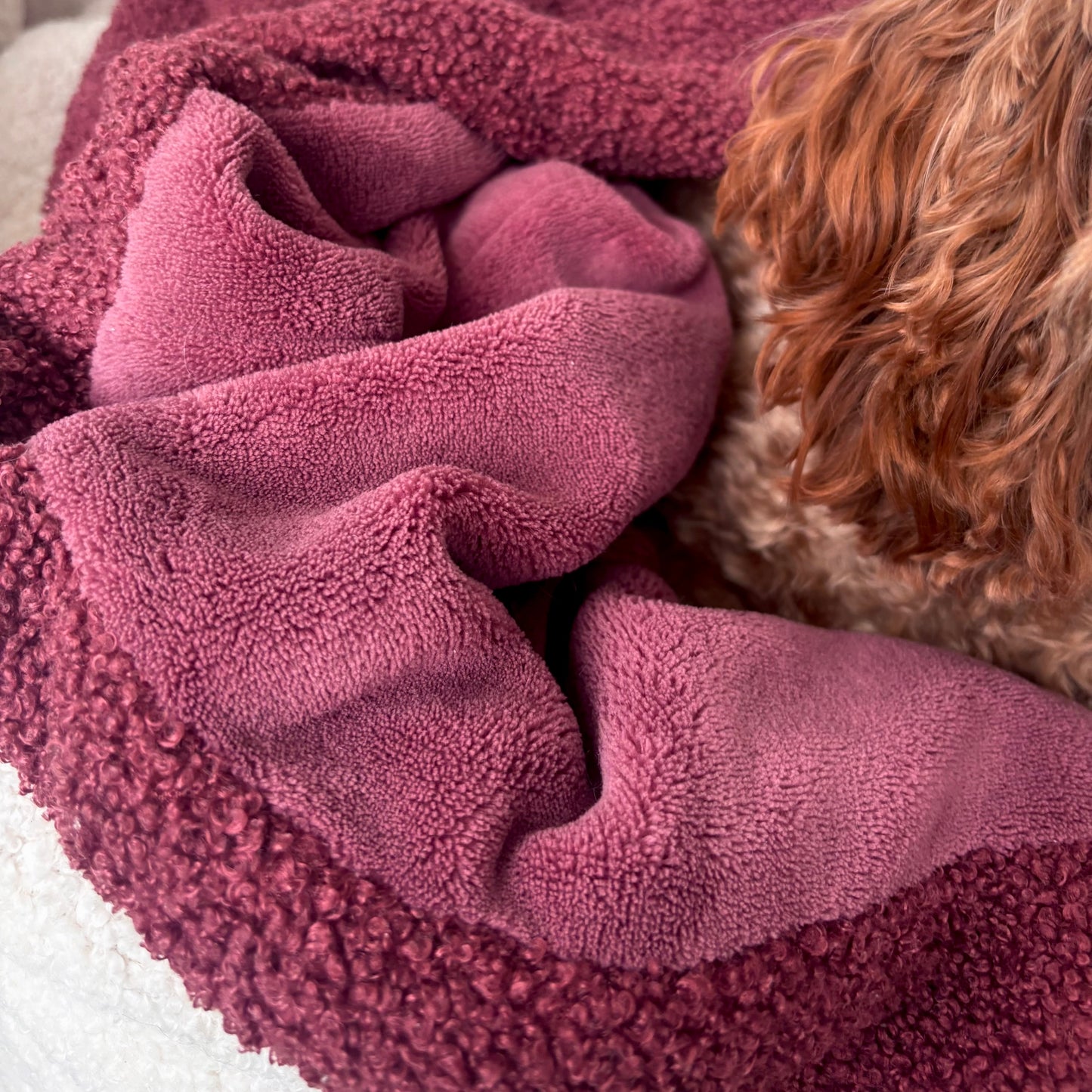Kuschelsack - Teddy Bouclé - VORBESTELLUNG!