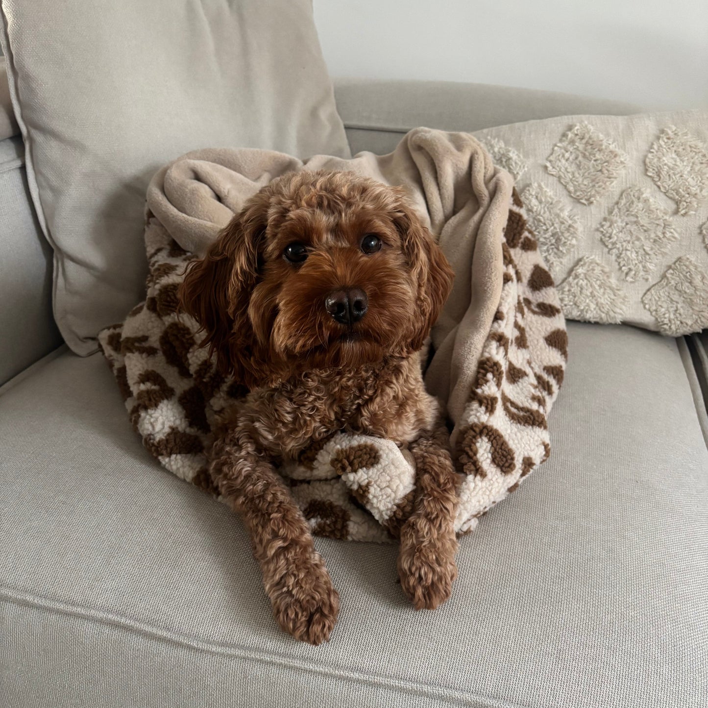 Kuschelsack - LEO - VORBESTELLUNG!