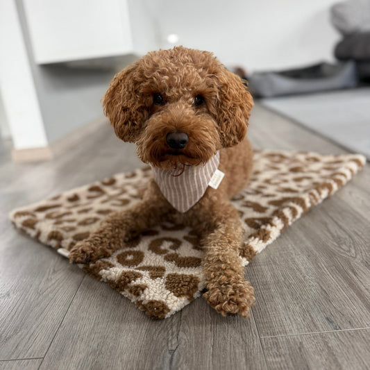 Hundedecke | LEO BROWN