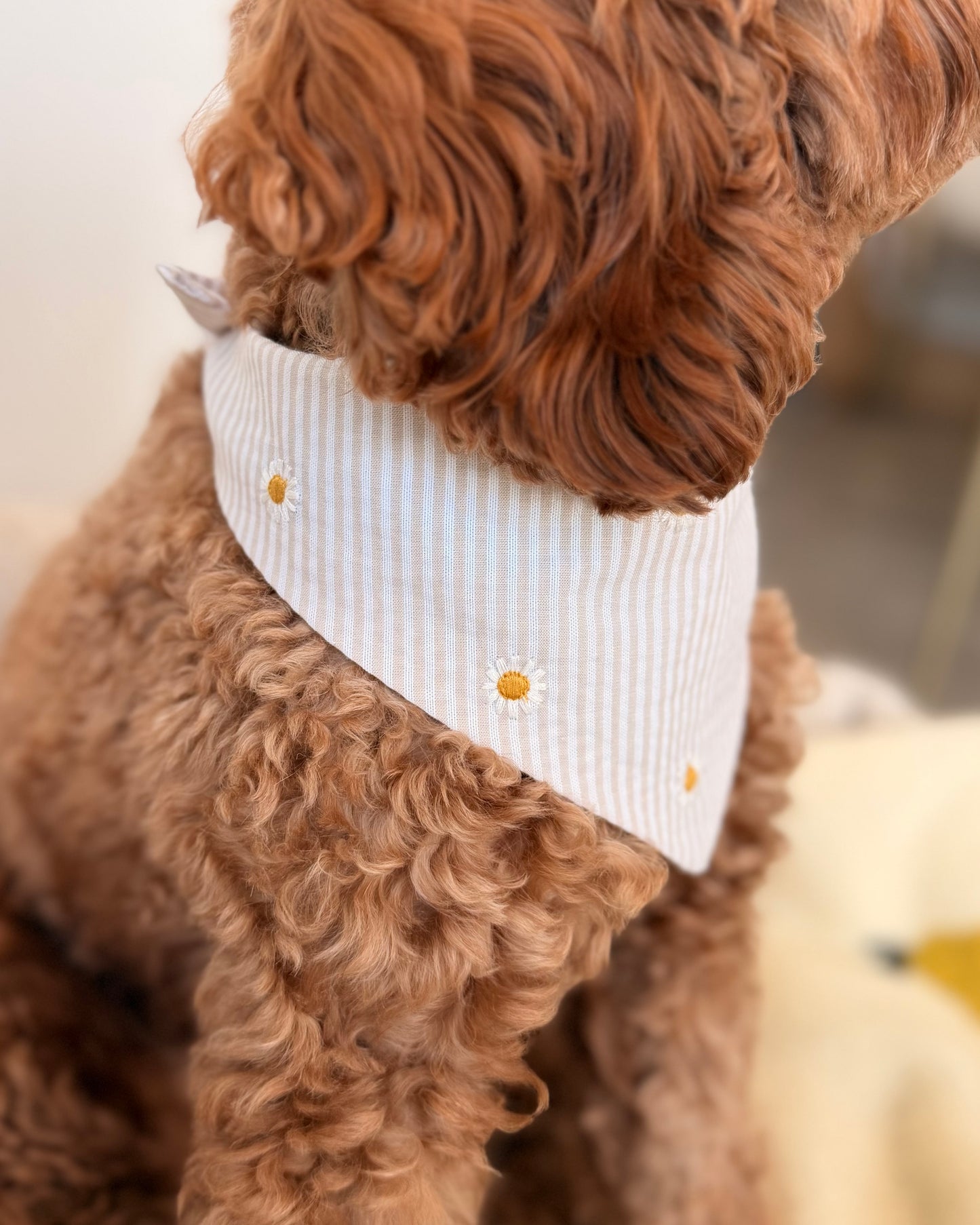 Halstuch - Flower Stripes