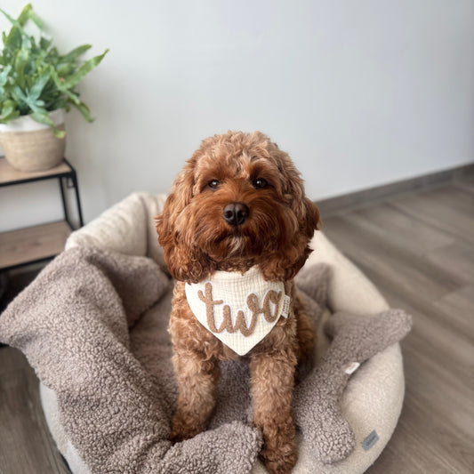 Zahlenpatch für Musselin Halstuch