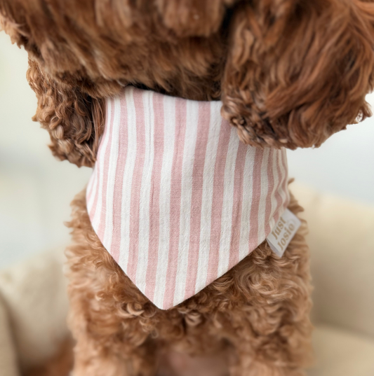 Musselin Halstuch - Stripes (Rosa/Weiß)