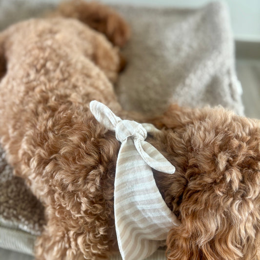 Musselin Halstuch -COZY (weiß/beige)