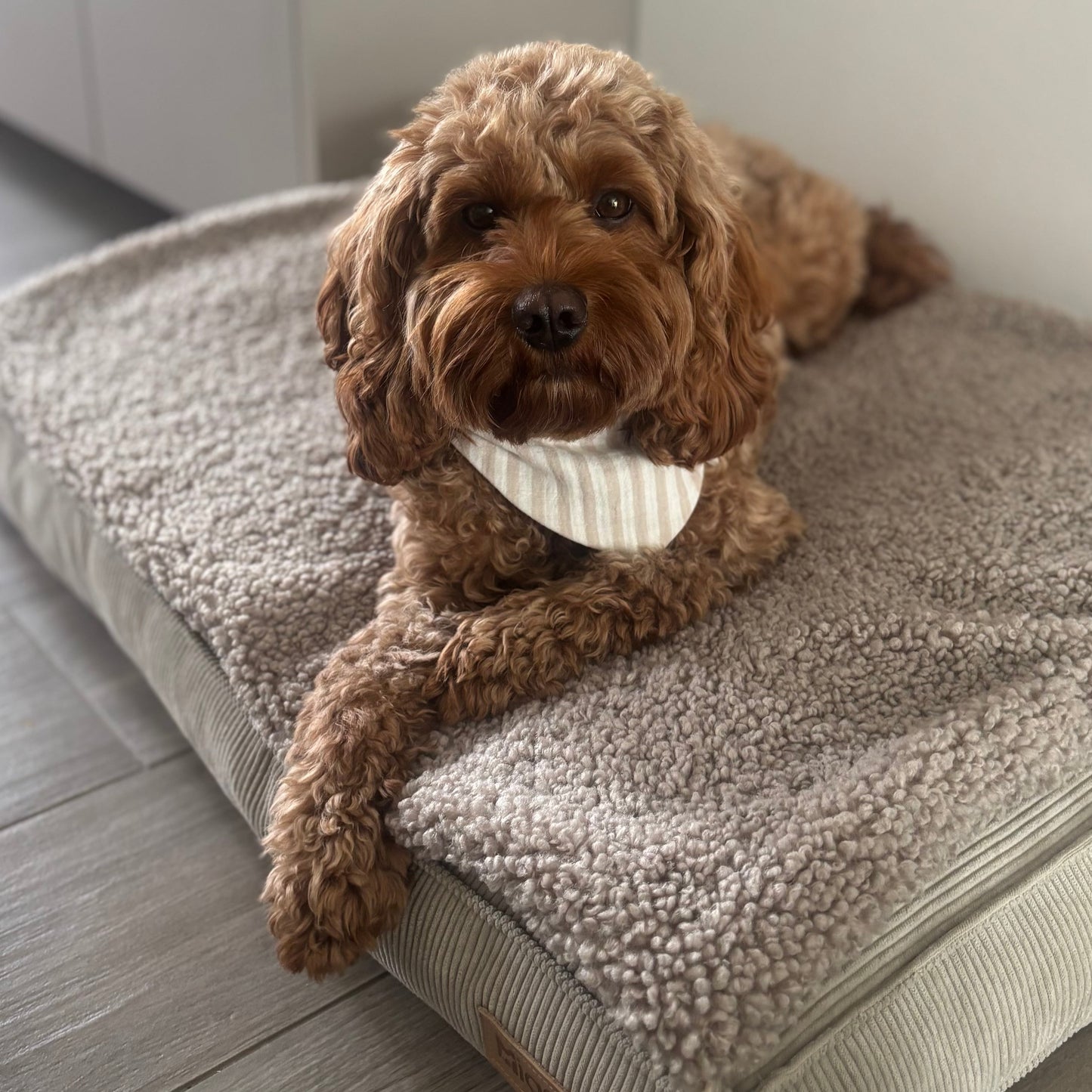 Hundedecke - Beige