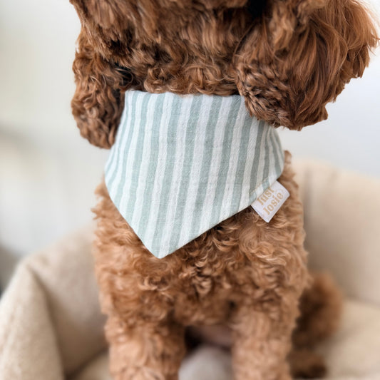 Musselin Halstuch - Stripes Salbei/Weiß