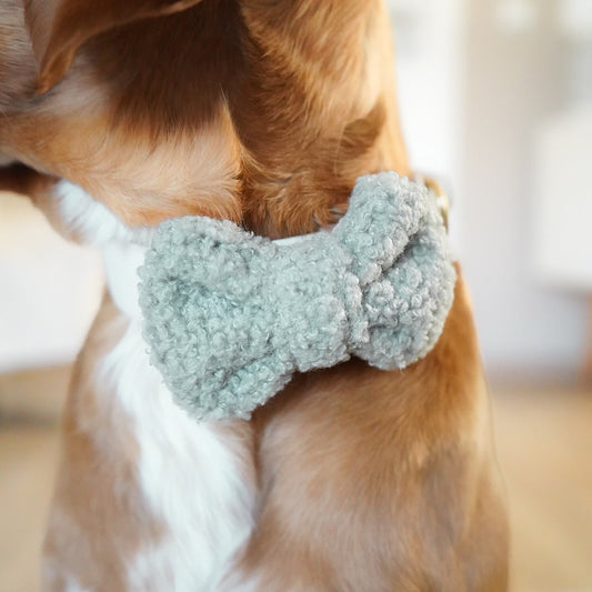 Spring Bow‘s | Salbei & Rosa