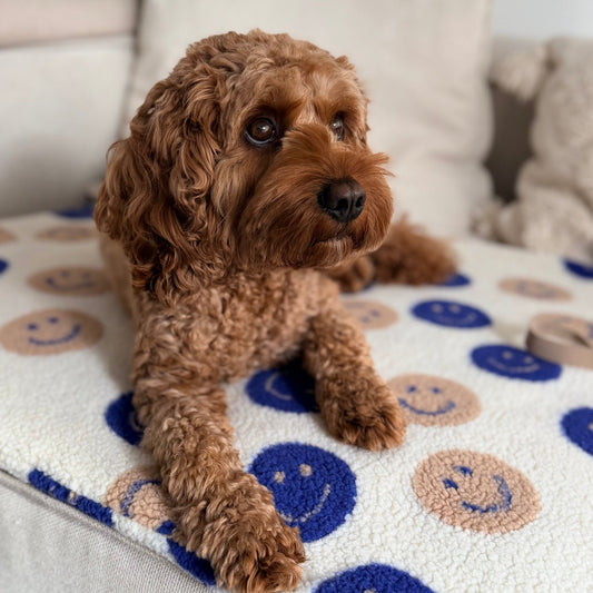 Kuscheldecke & Outdoor Decke| SMILEY
