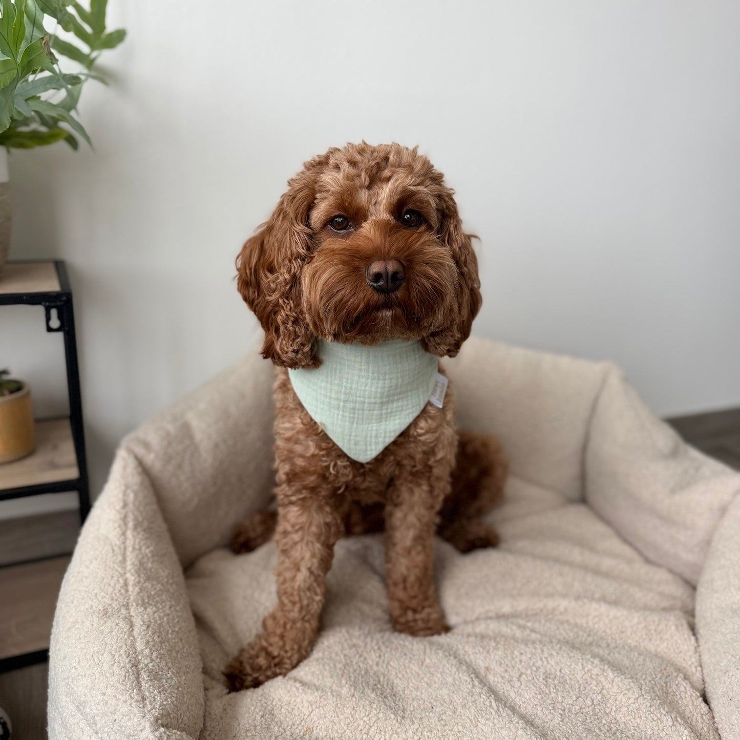 Musselin Halstuch - Mint