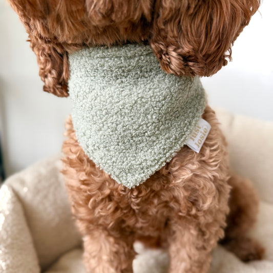 Teddy Halstuch - Salbei