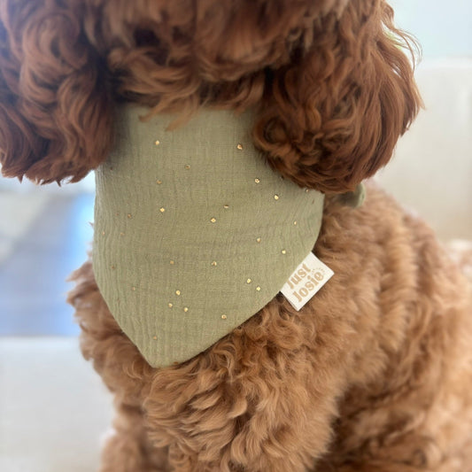 Musselin Halstuch - Golden Dots (Pistazie)