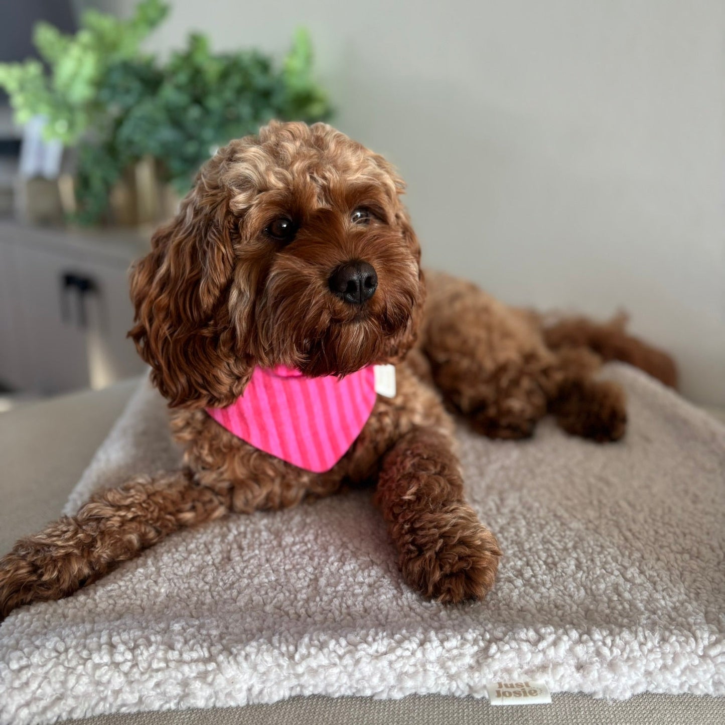 Musselin Halstuch - Streifen Pink