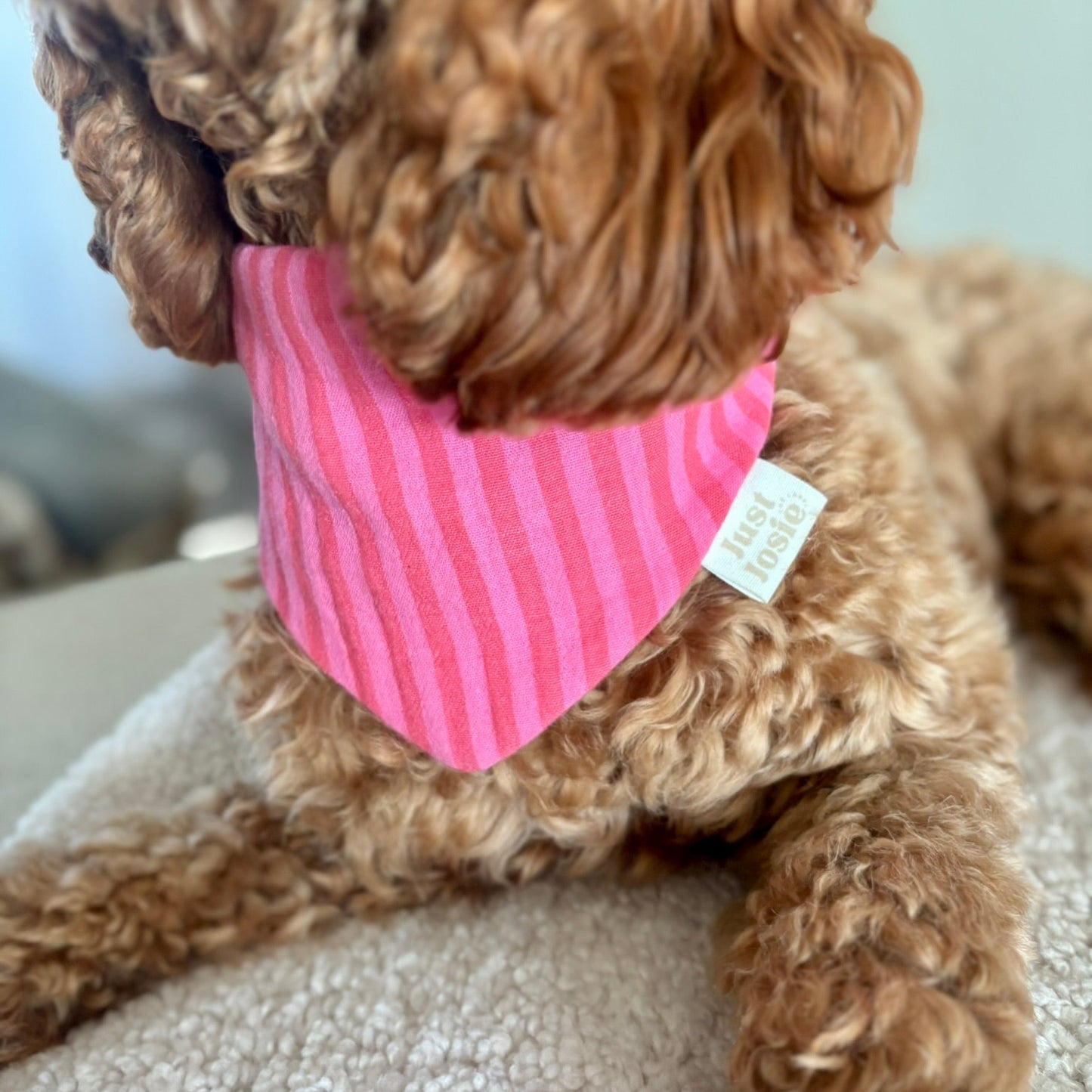 Musselin Halstuch - Streifen Pink