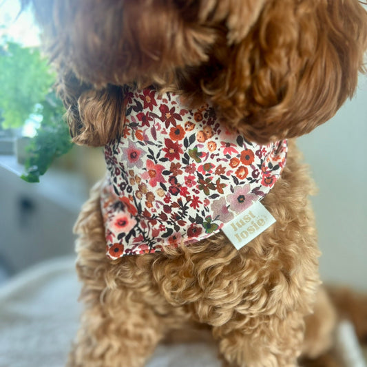 Jersey Halstuch "Zuri"