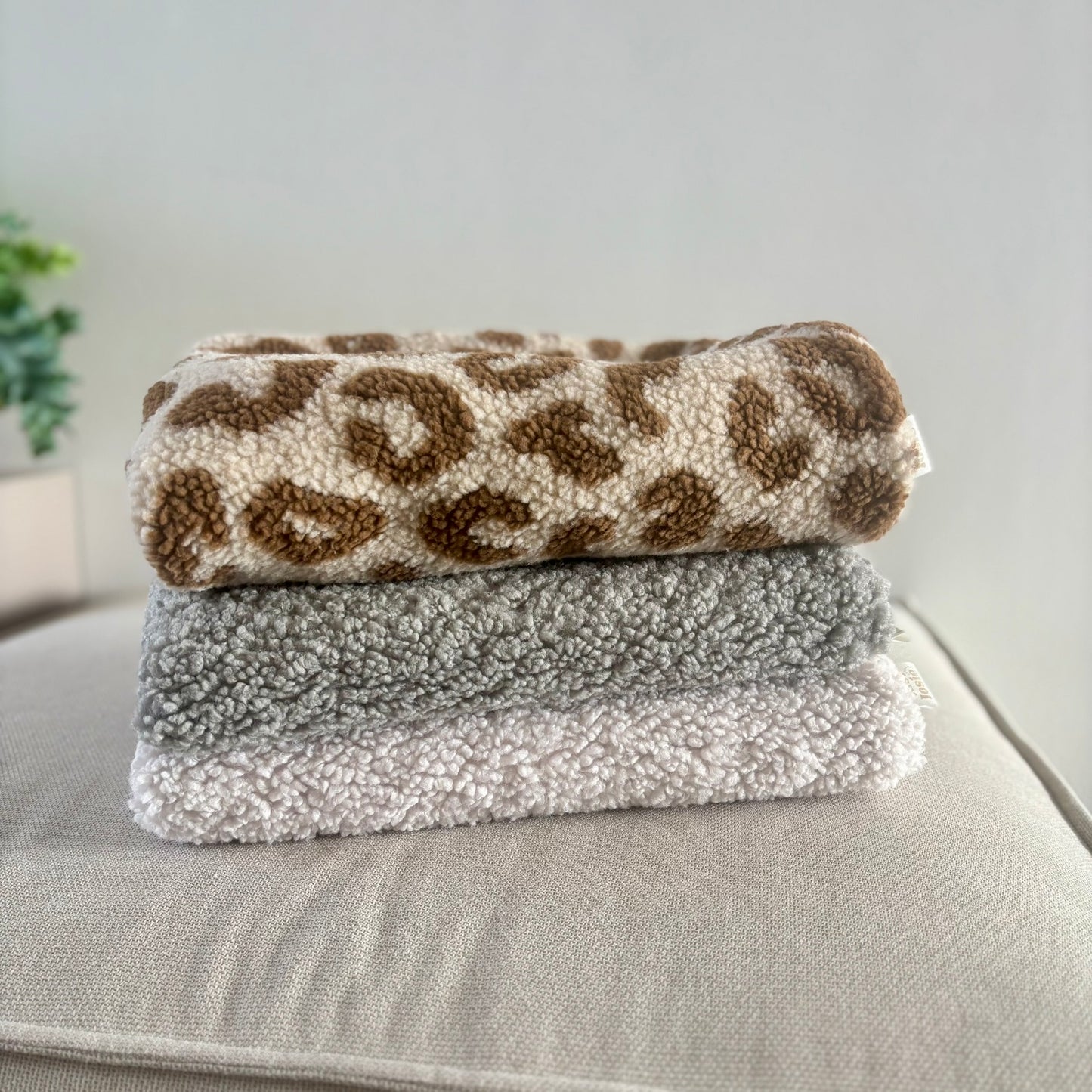 Hundedecke Creme