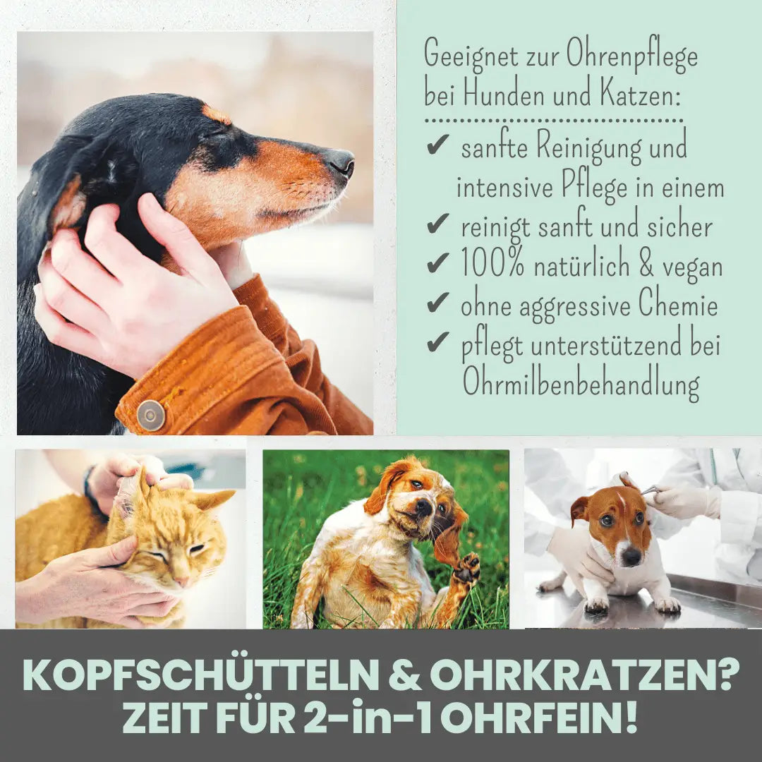 Noms+ 2-in-1 Ohrfein Reinigung + Pflege