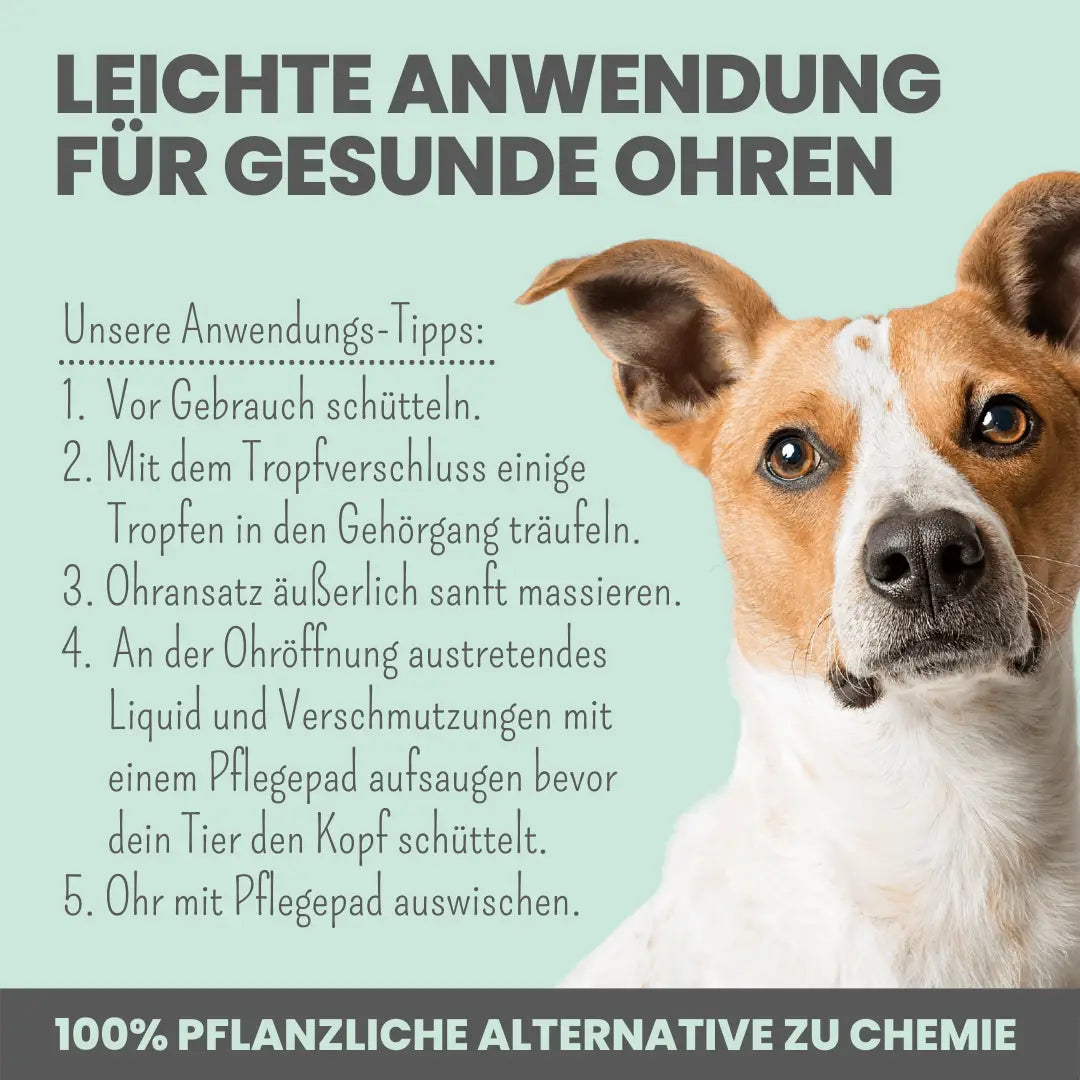 Noms+ 2-in-1 Ohrfein Reinigung + Pflege