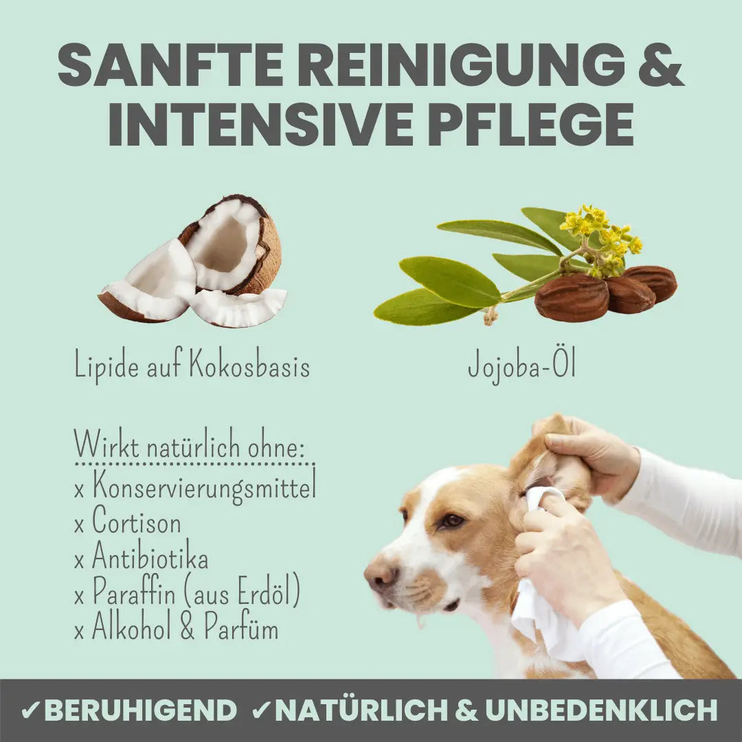 Noms+ 2-in-1 Ohrfein Reinigung + Pflege