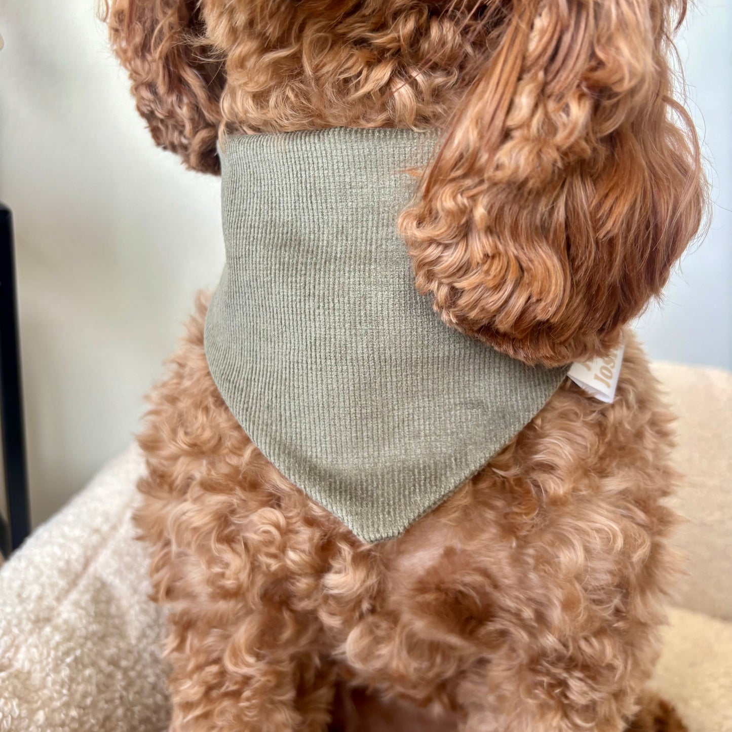 Halstuch Cozy - Winter Green