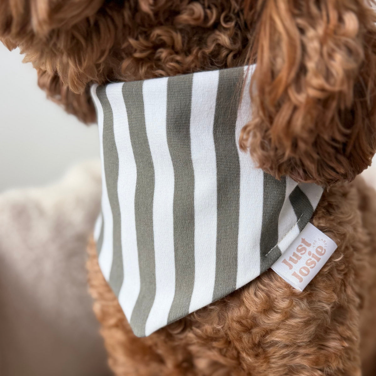 Halstuch COZY - Green Stripes