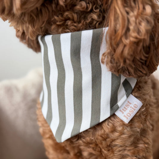 Halstuch COZY - Green Stripes