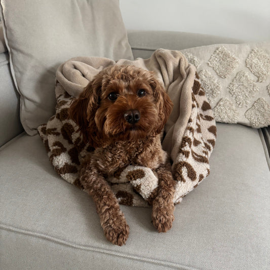 Kuschelsack - LEO