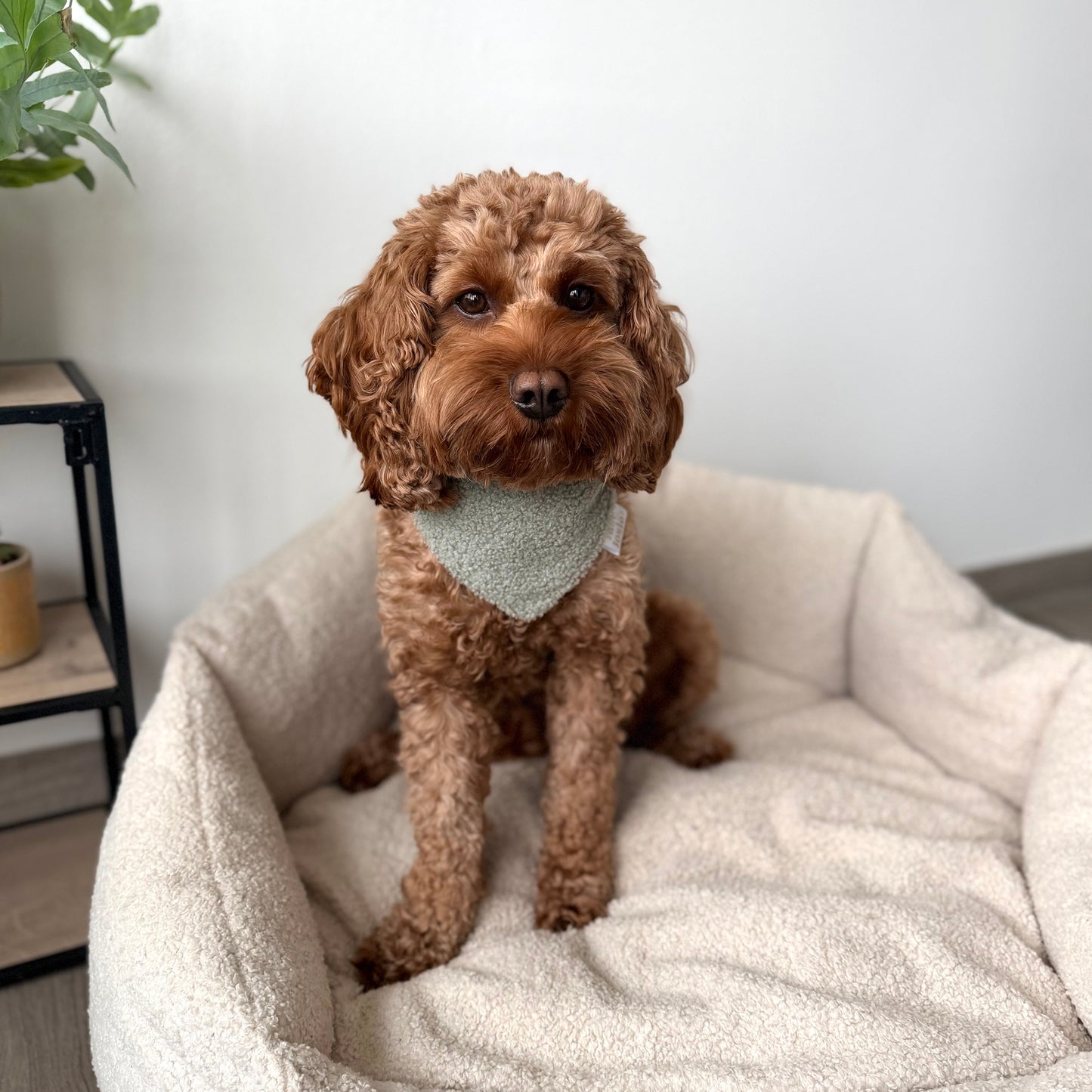 Teddy Halstuch - Salbei