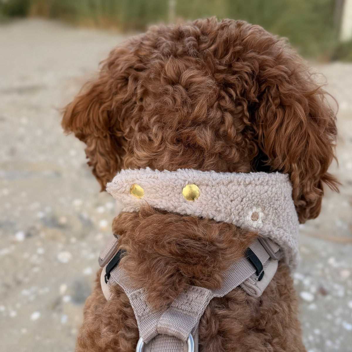 Halstuch Teddy - Wildflower Taupe