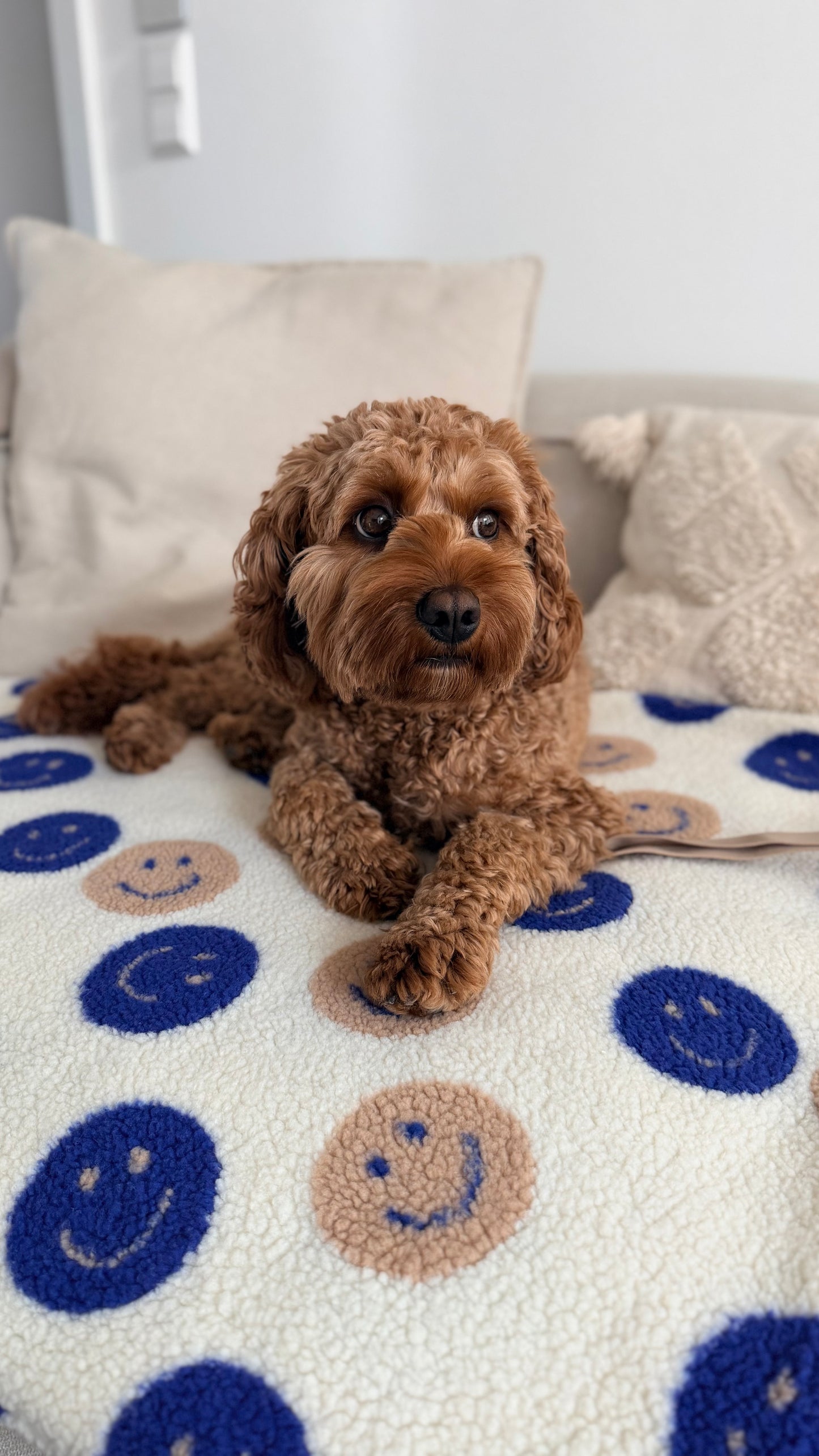 Kuscheldecke & Outdoor Decke| SMILEY