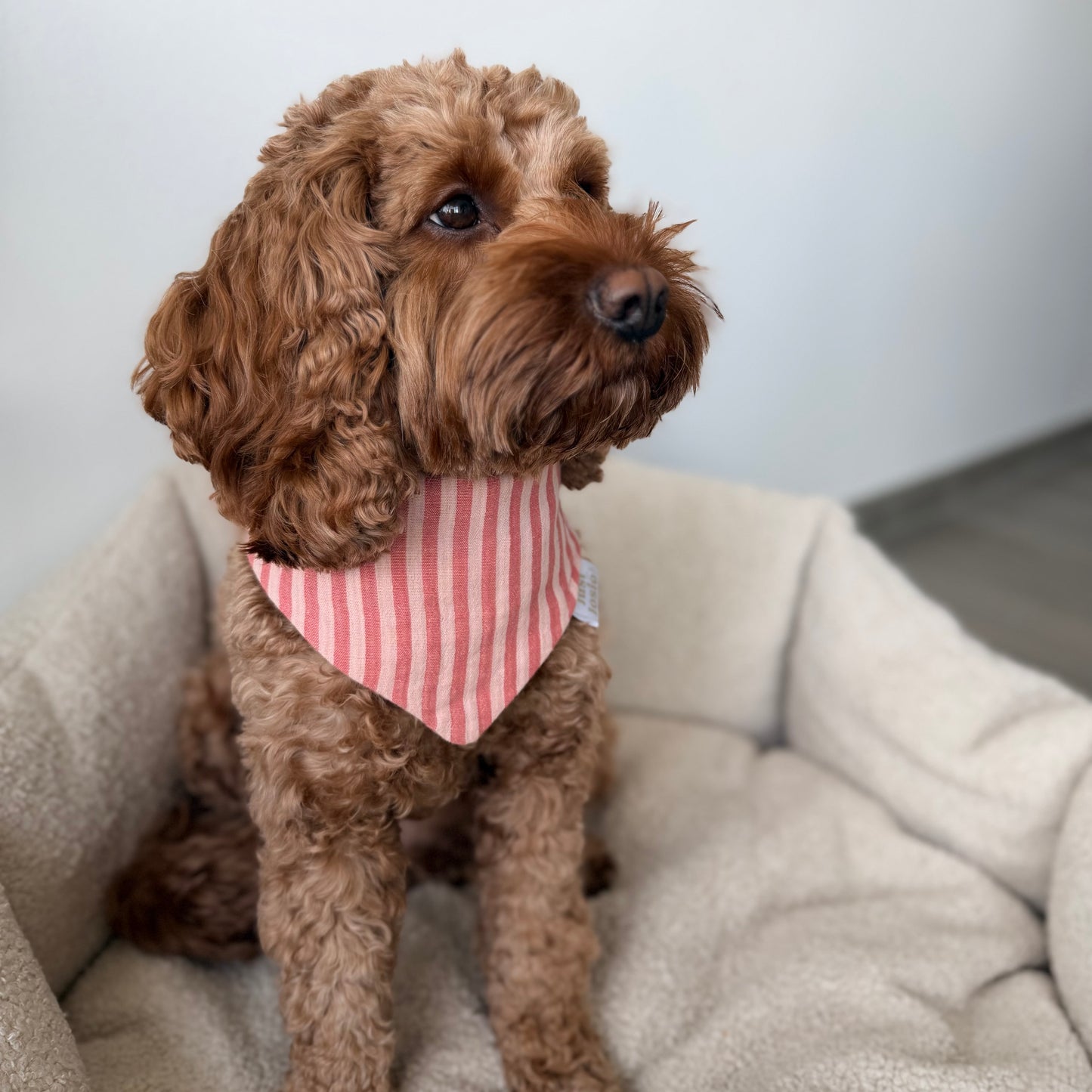 Musselin Halstuch - Stripes Peach