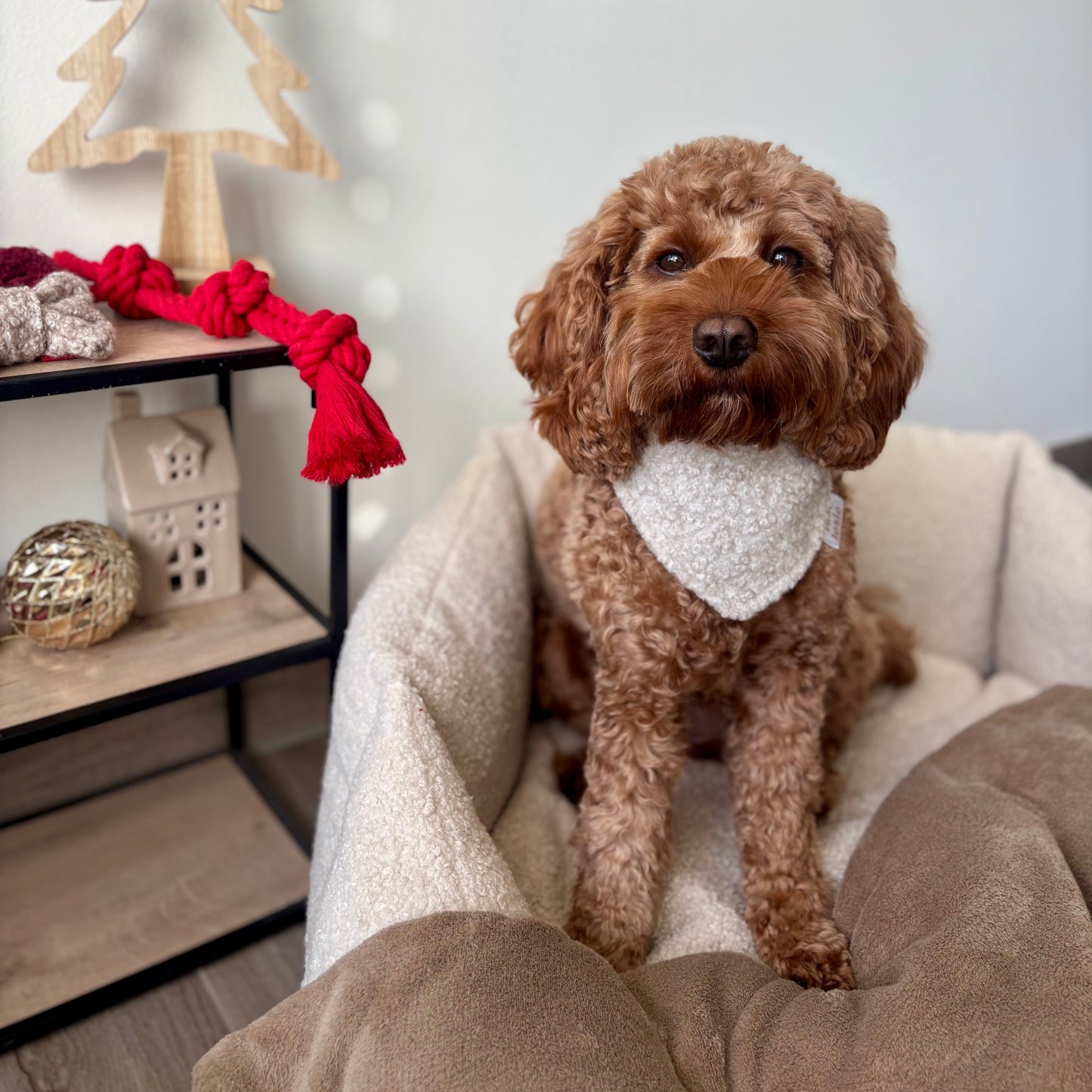 Bouclé Halstuch - Creme