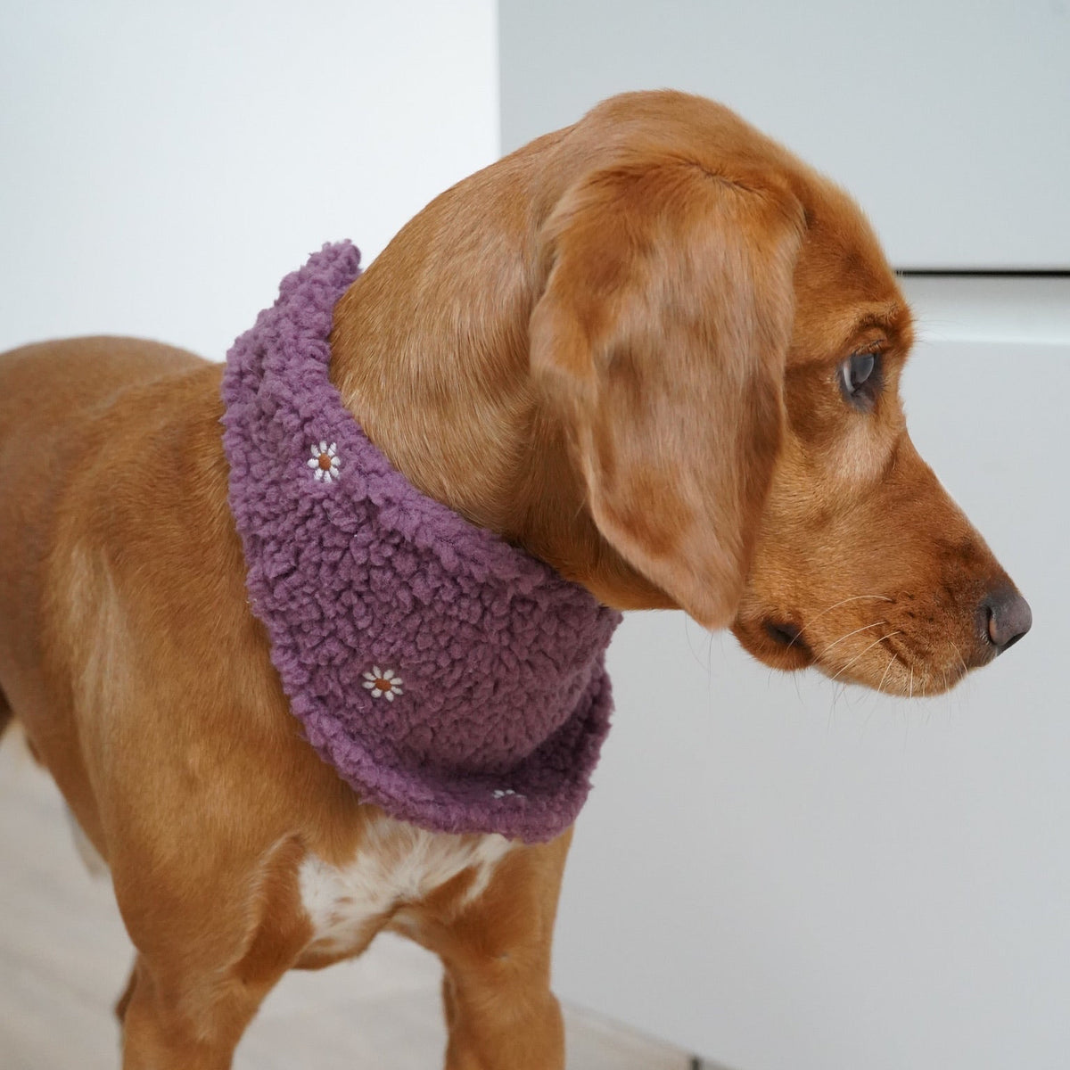Halstuch Teddy - Wildflower Beere