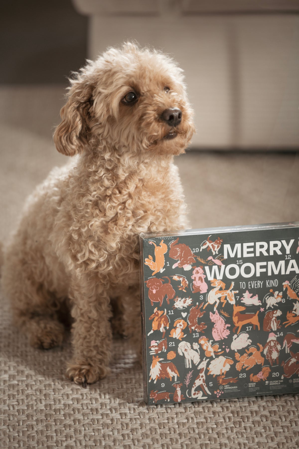 VEGDOG Adventskalender
