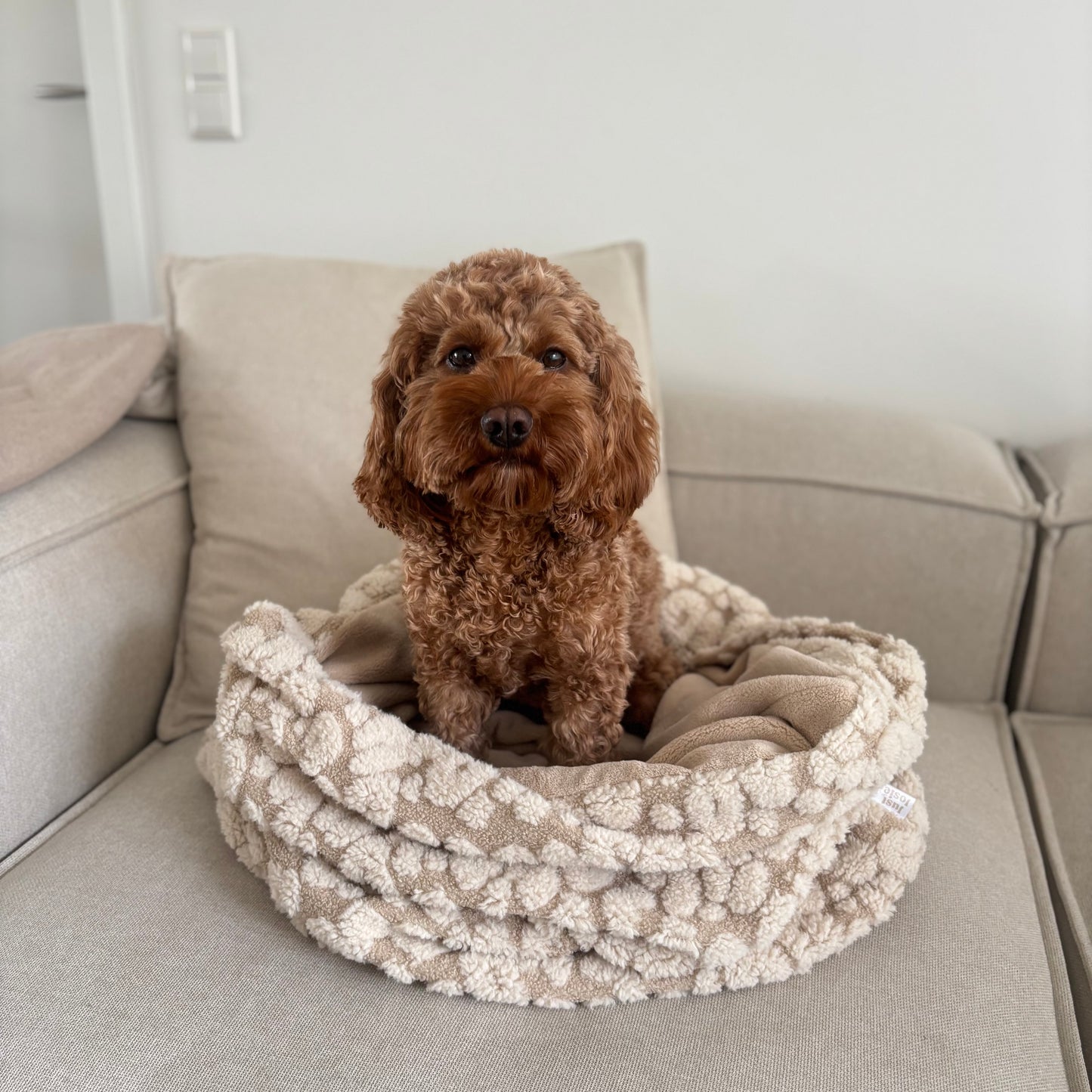 Kuschelsack LEVI- Teddy Bouclé Leo - November Limited Edition