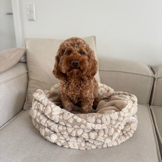 Kuschelsack LEVI- Teddy Bouclé Leo - November Limited Edition