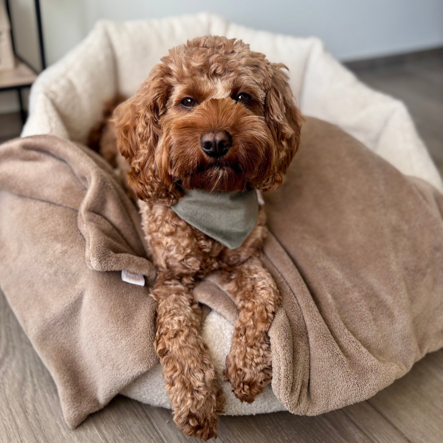 Halstuch Cozy - Winter Green