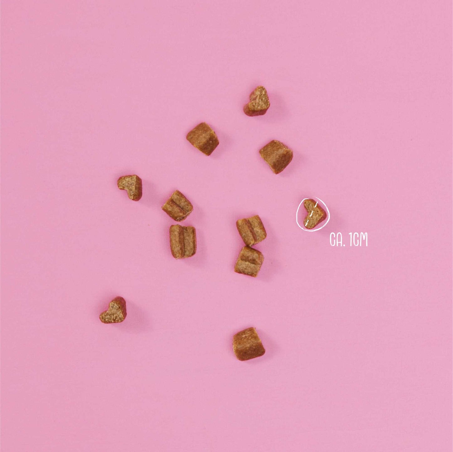 VEGDOG MOBILITIES MINI