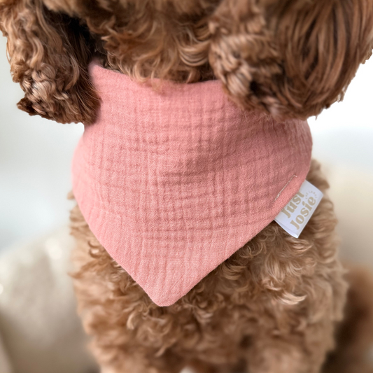 Musselin Halstuch - Korall