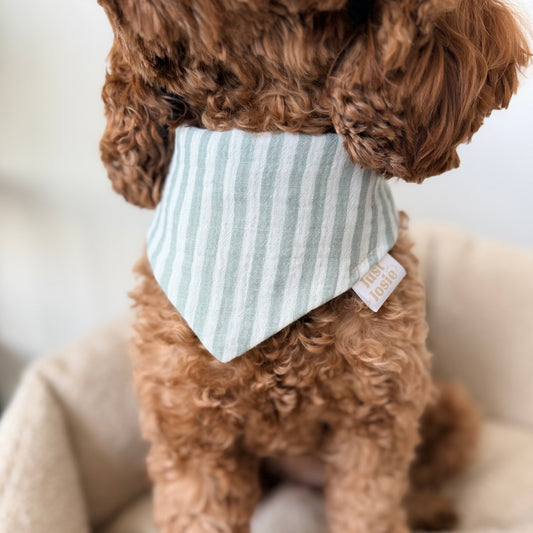Musselin Halstuch - Stripes Salbei/Weiß
