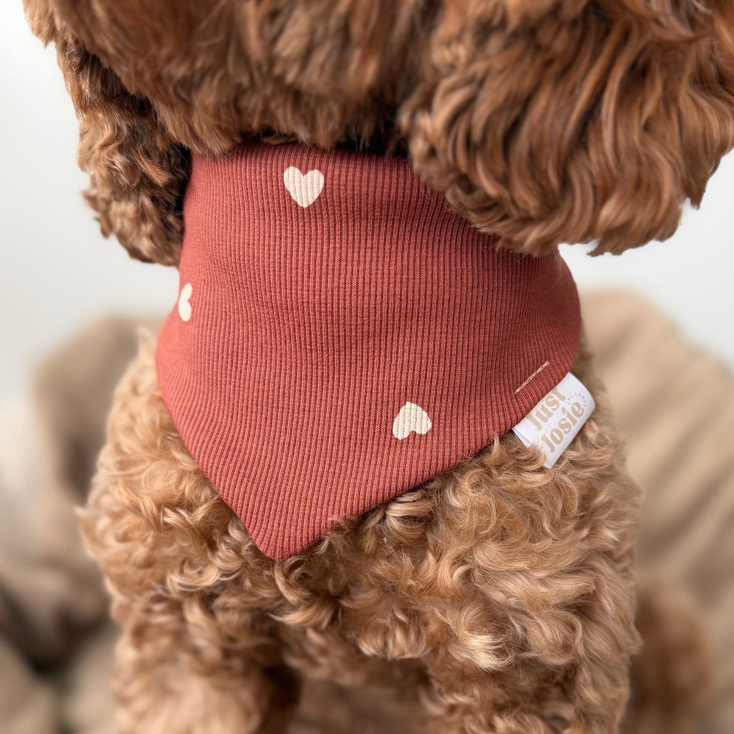 Rippjersey Halstuch - Be my valentine