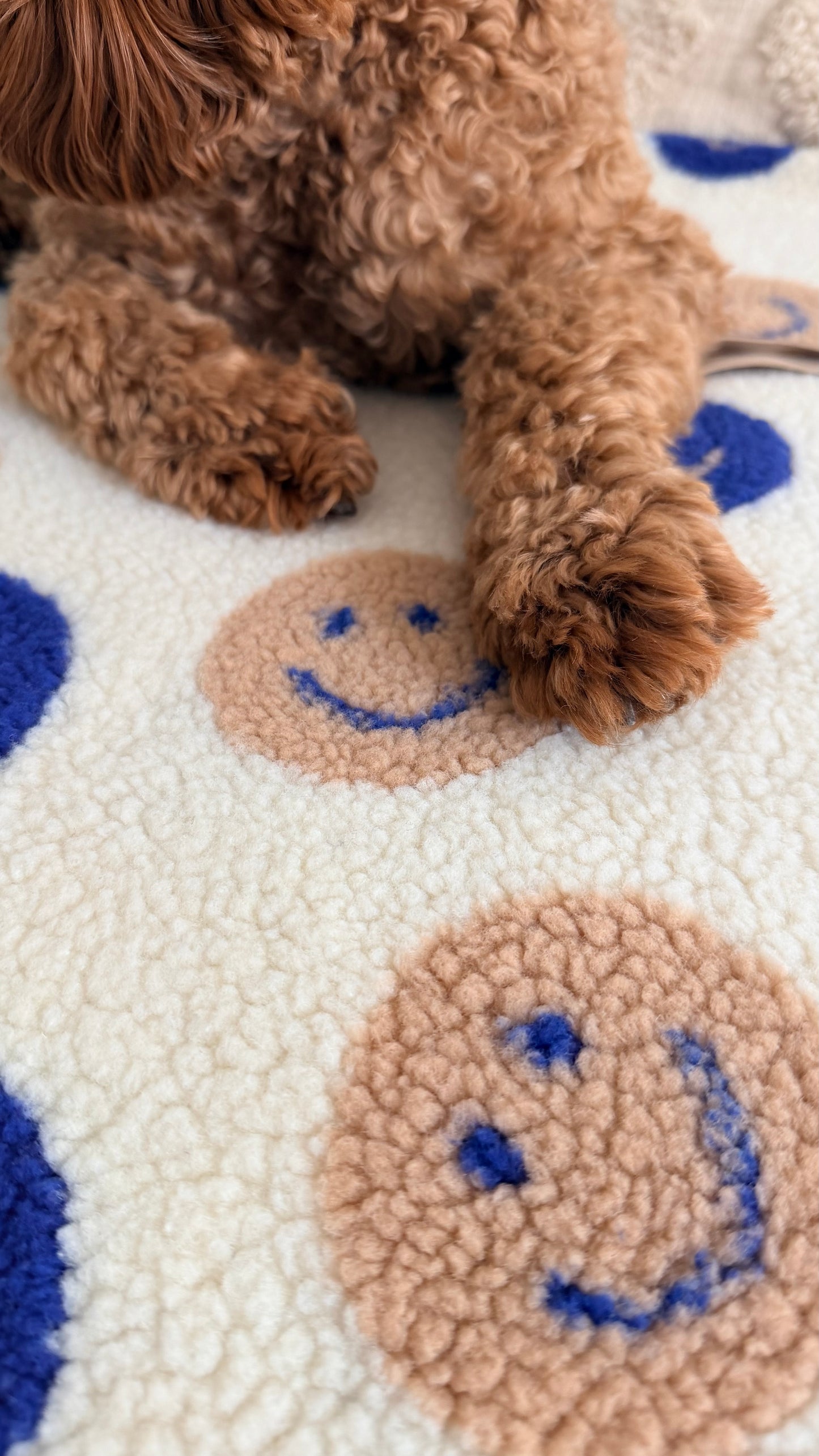 Kuscheldecke & Outdoor Decke| SMILEY