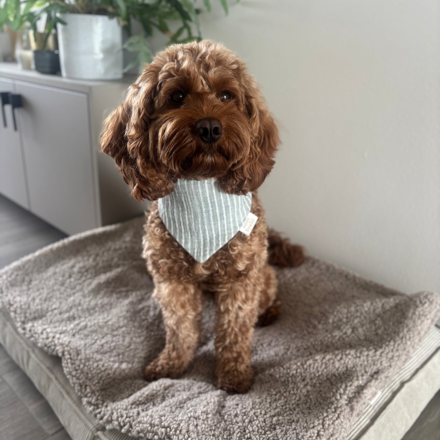 Musselin Halstuch Stripes - Grün