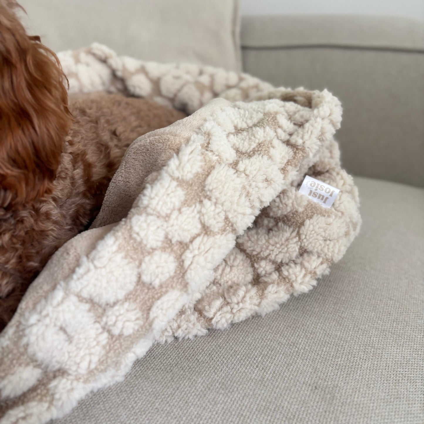 Kuschelsack LEVI- Teddy Bouclé Leo - November Limited Edition