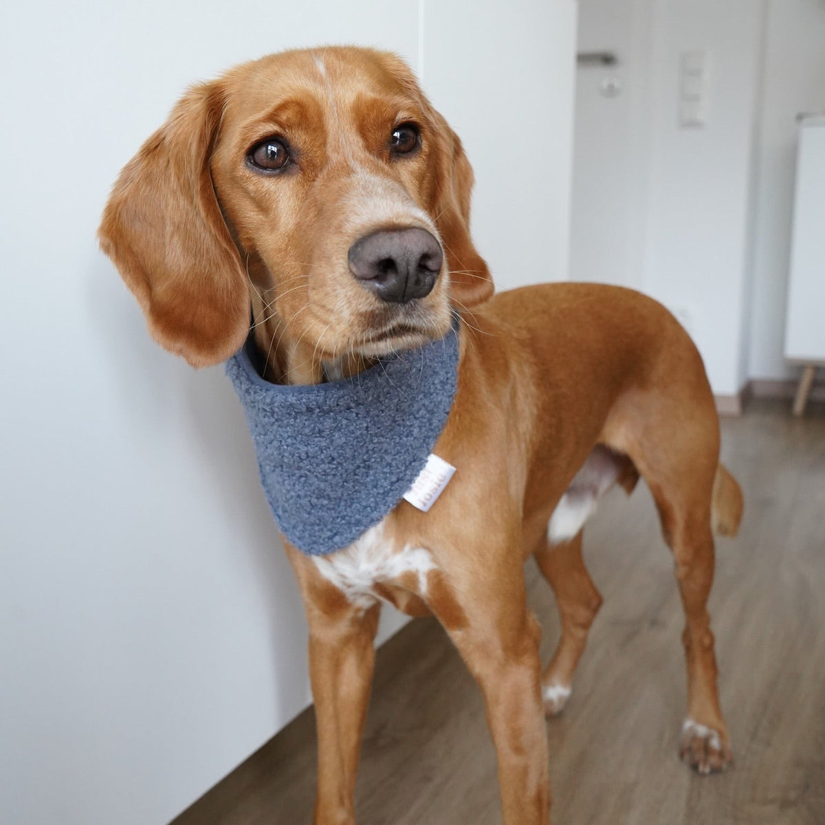 Halstücher- Teddy Bouclé