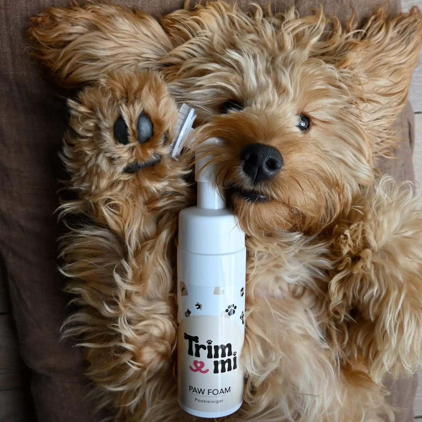 Pfotenreiniger - Trimmi