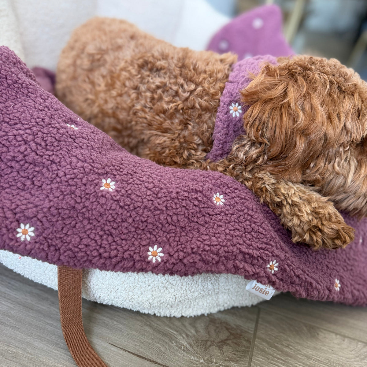 Kuscheldecke Wildflower Beere