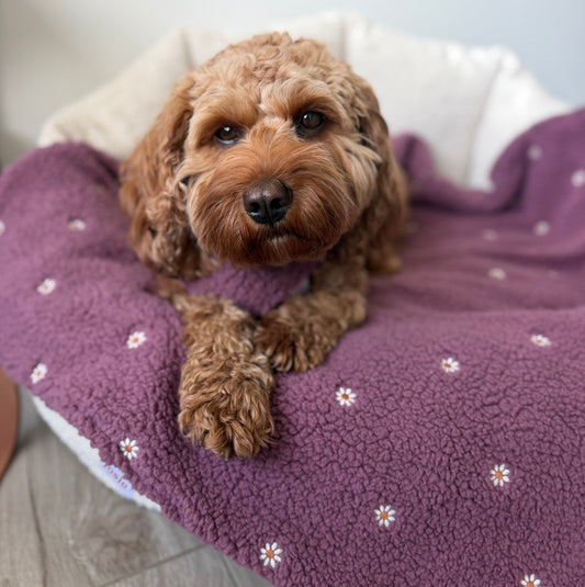 Kuscheldecke Wildflower Beere