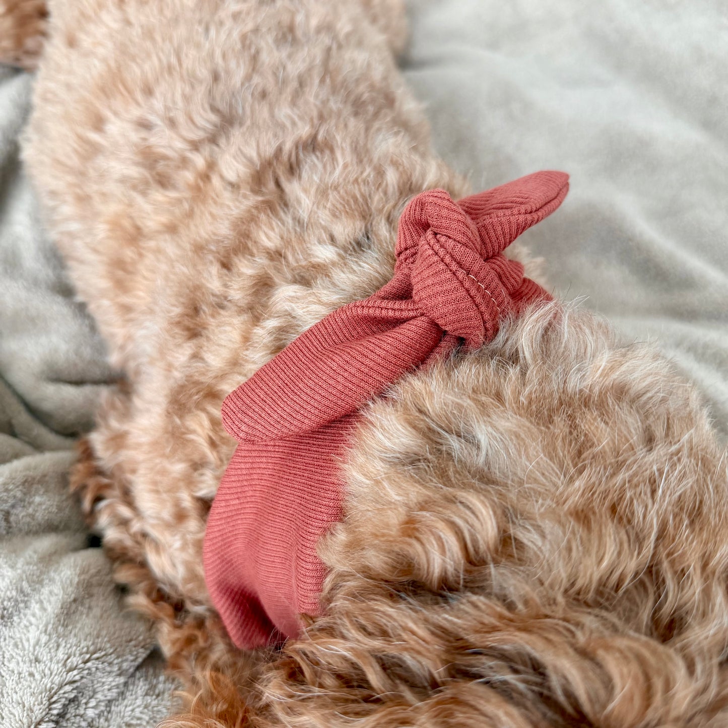 Rippjersey Halstuch - Be my valentine