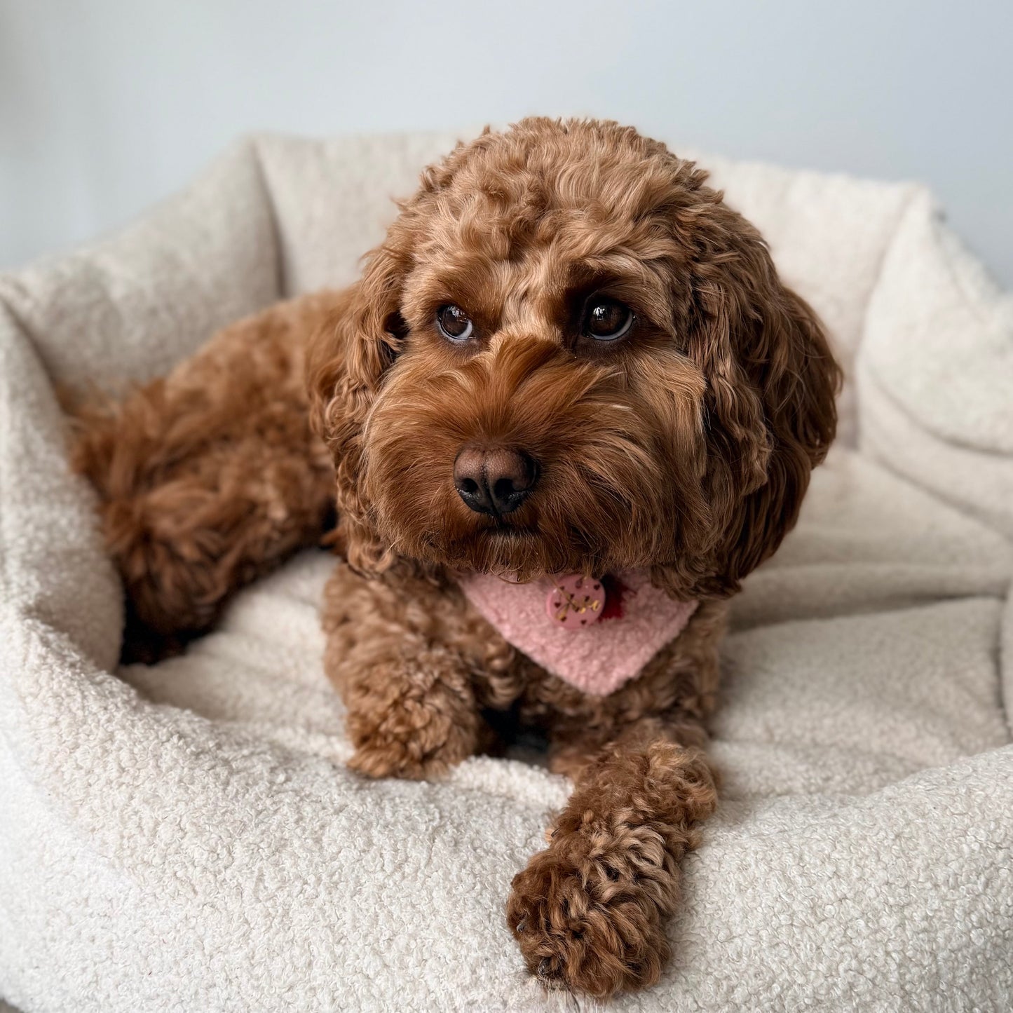 Bouclé Halstuch - Rosé