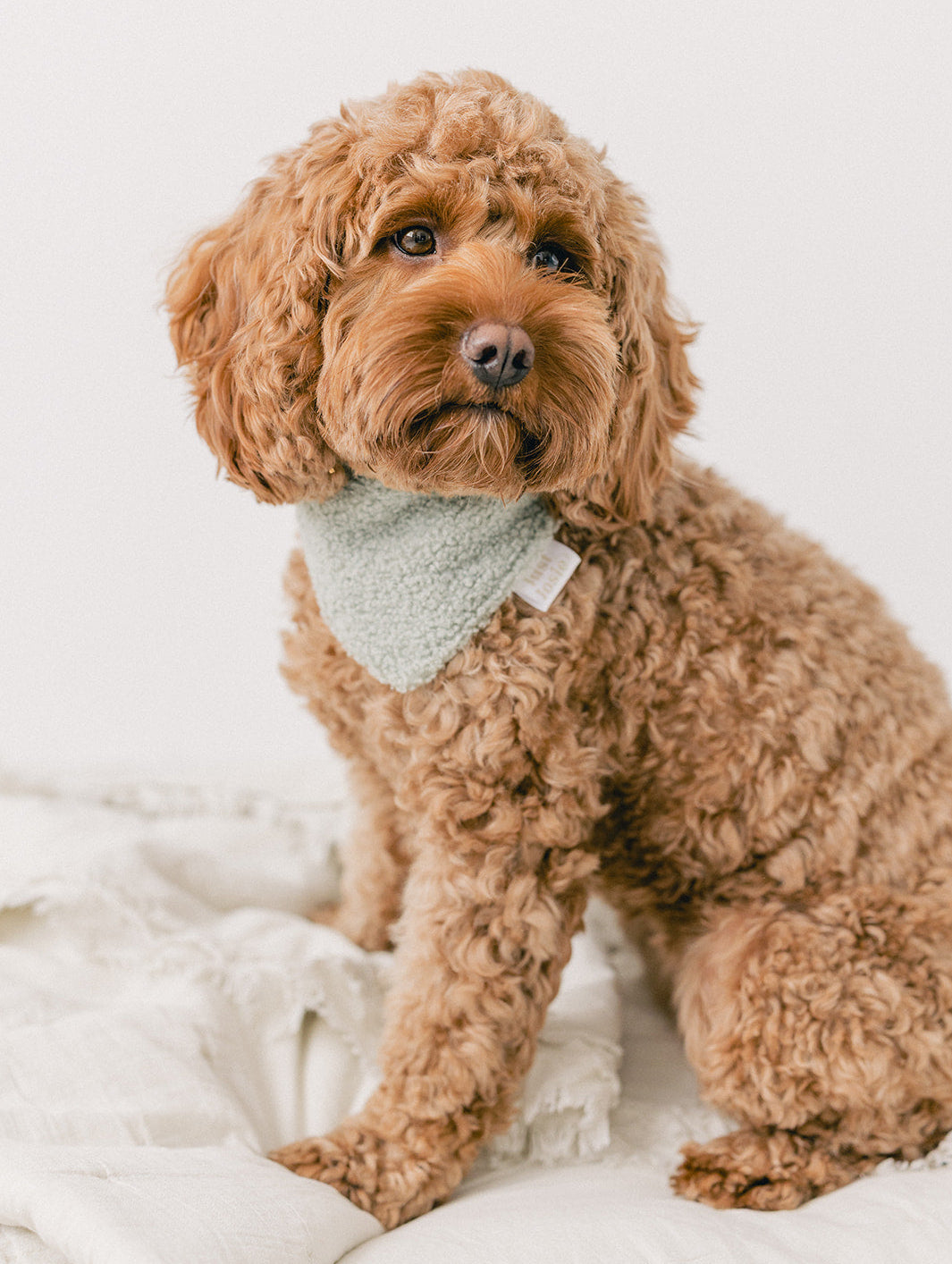 Teddy Halstuch - Salbei